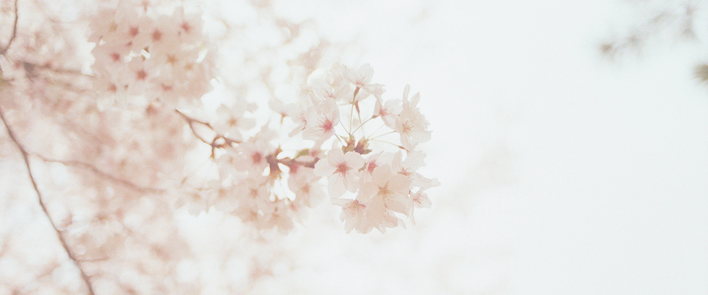 EL DIFÍCIL CAMINO DEL DUELO